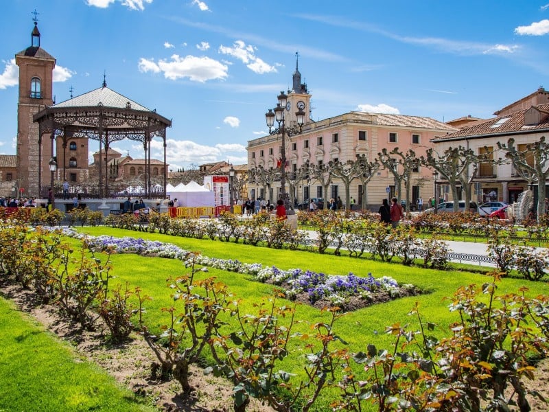 Free Tour  Alcalá de Henares